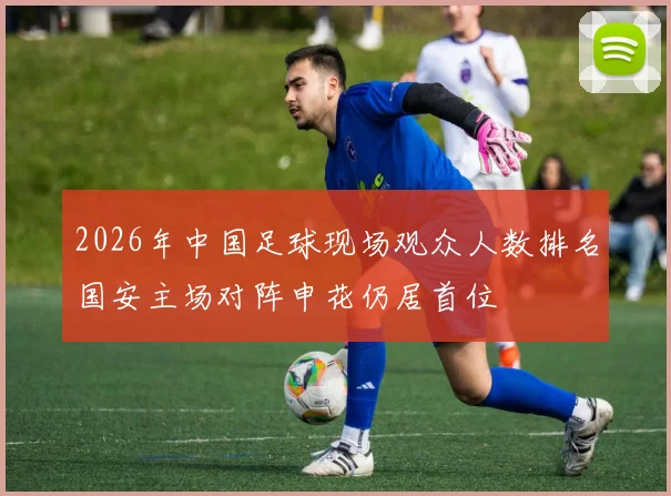 2026年中国足球现场观众人数排名国安主场对阵申花仍居首位